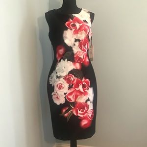 New! Beautiful Calvin Klein Sheath Dress